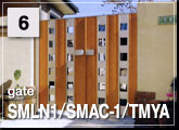 06：SMLN1/SMAC-1/TMYA